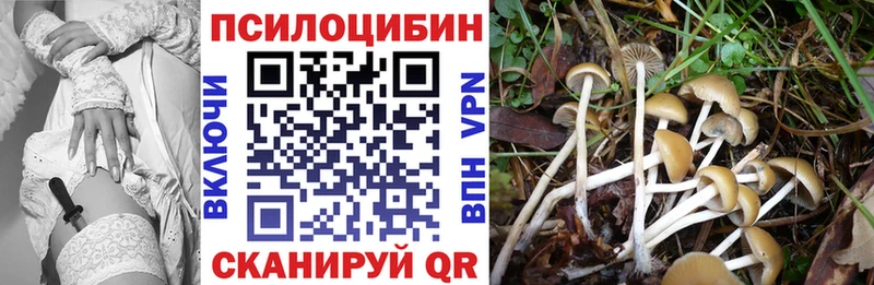 где продают   Кстово  OMG зеркало  Галлюциногенные грибы мицелий 